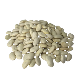 Bulk Eb Beans Great Northern Org