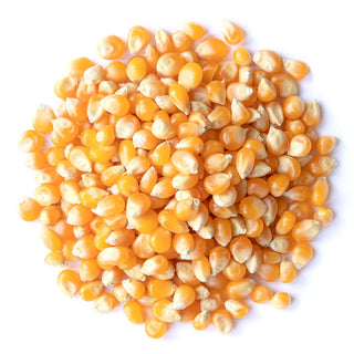 Bulk Grains Grn Popcorn Yellow Org
