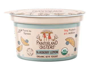 Painterland Sisters Yogurt Skyr Style Blueberry Lemon