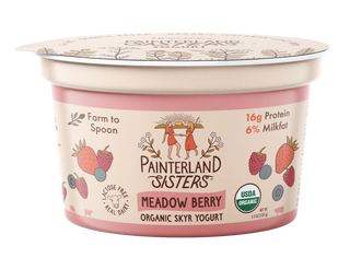 Painterland Sisters Yogurt Skyr Style Mdwbry