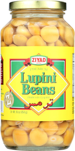 Ziyad Bean Lupini