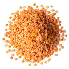 Bulk Lentils Red Split Org