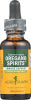 HERB PHARM IMMUNE SUPPORT, OREGANO SPIRITS HERBAL EXTRACT, 1 FL. OZ. BOTTLE - No Plunge - Front