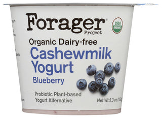 Forager Cashewgurt Blueberry Org